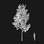 Real Trees I