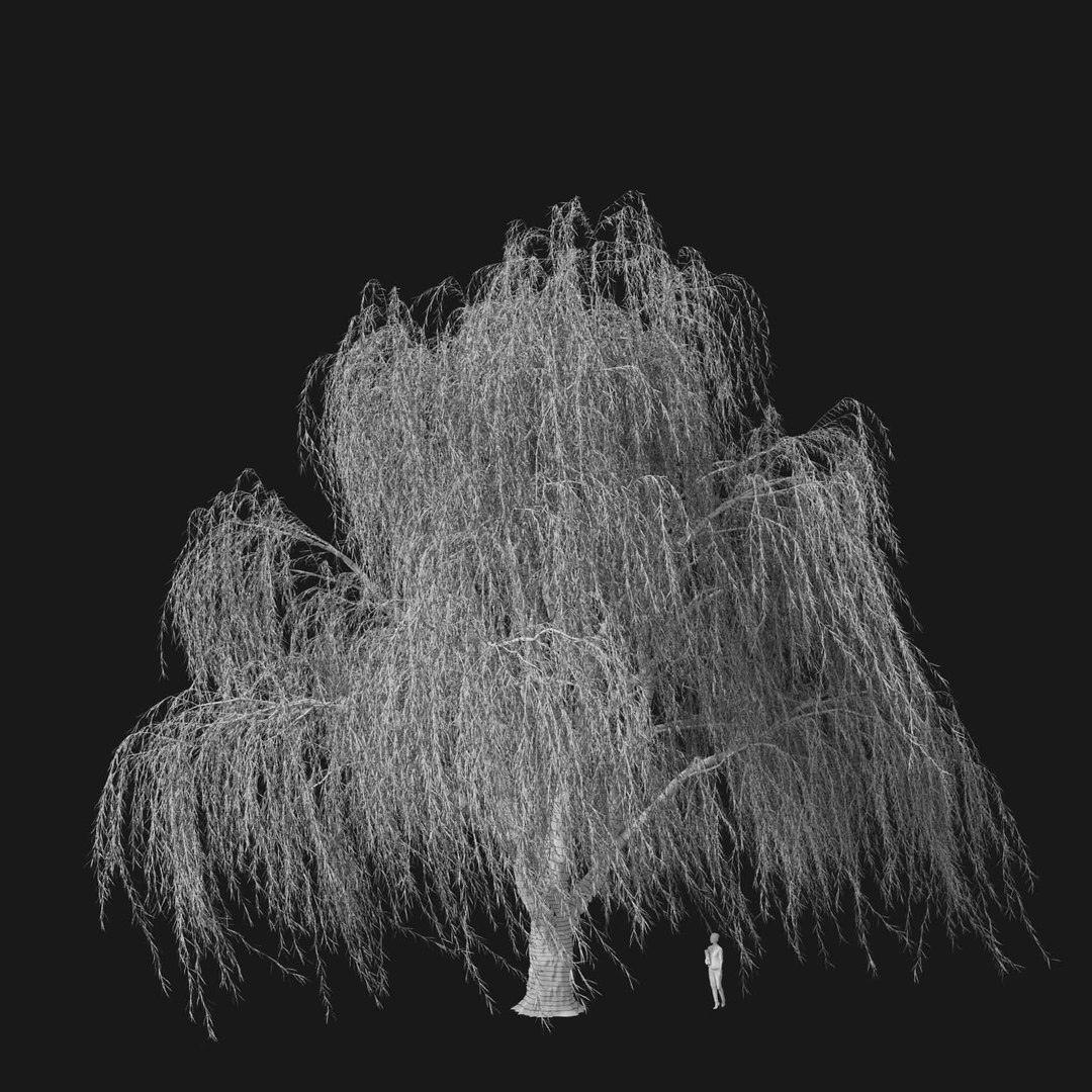 3D model Real Trees I https://p.turbosquid.com/ts-thumb/Ij/Jk2K9a/sU/vpweepingwillowv3wire/jpg/1684780995/1920x1080/fit_q87/0f54e113994dde8905f3f0acd3d14a18902af696/vpweepingwillowv3wire.jpg