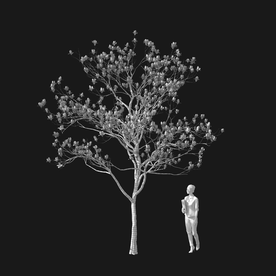 3D model Real Trees I https://p.turbosquid.com/ts-thumb/Ij/Jk2K9a/sW/vpmagnoliav3wire/jpg/1684780961/1920x1080/fit_q87/5b6d92797f4abd6637e7edc6f717f9ddd4dd8081/vpmagnoliav3wire.jpg