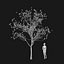 Real Trees I
