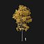 Real Trees I
