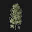 Real Trees I