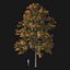 Real Trees I