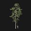 Real Trees I