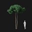 Real Trees I