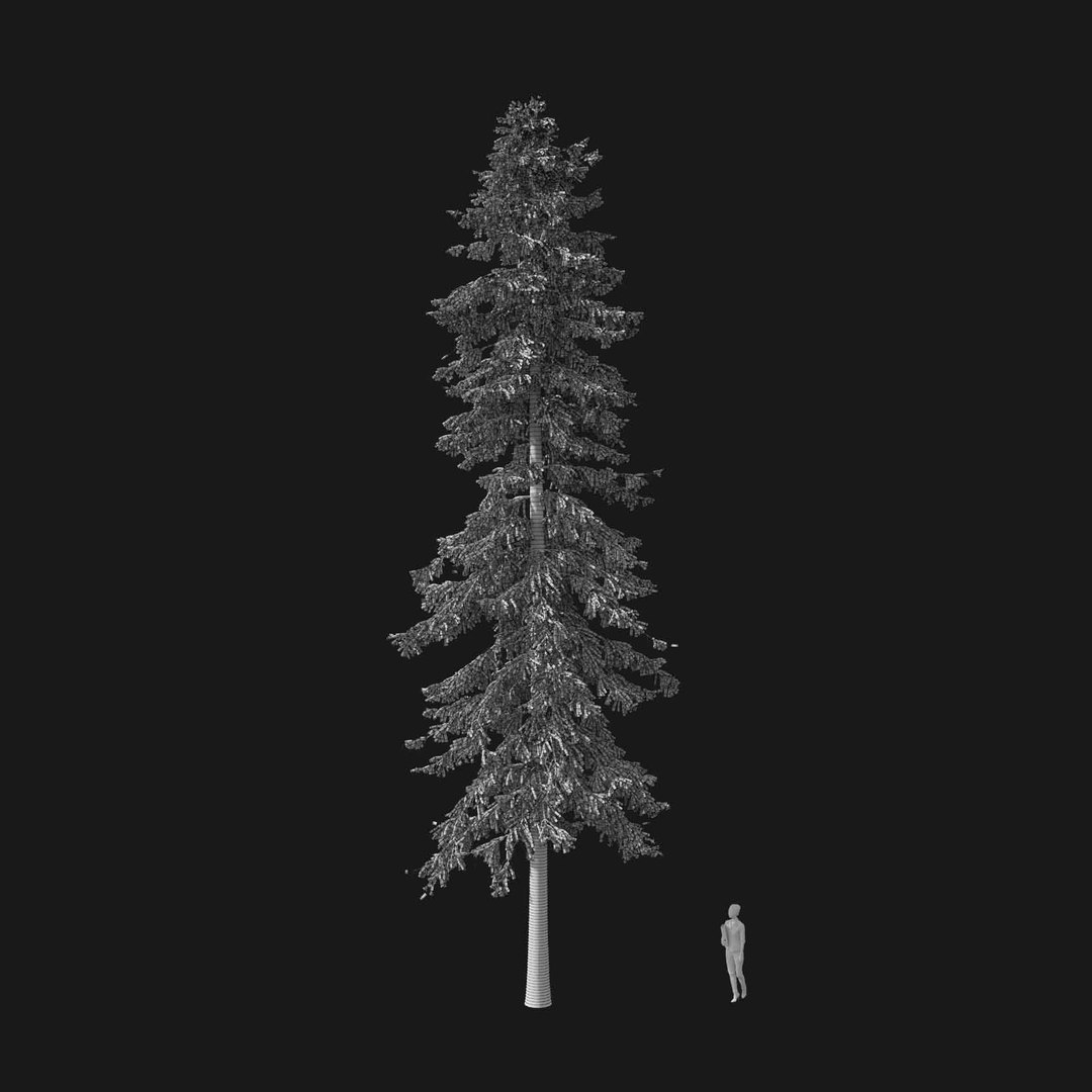 3D model Real Trees I https://p.turbosquid.com/ts-thumb/Ij/Jk2K9a/w1/vppiceaabiesv2wire/jpg/1684780968/1920x1080/fit_q87/b29de9271d9dde892df7121875a75b5301f931c9/vppiceaabiesv2wire.jpg