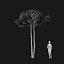 Real Trees I
