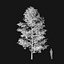 Real Trees I