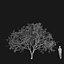 Real Trees I