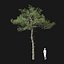 Real Trees I