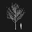 Real Trees I