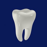 tooth2