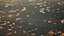 Paisagem da cidade de Zhangjiajie China