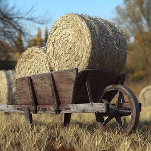 Wooden Wheelbarrow with Hay Bales Brown 3D model