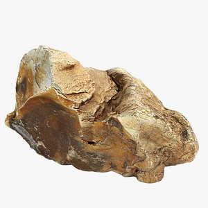 Flint Stone(2)