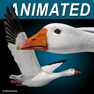 Goose