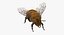 Bee and Bumblebee