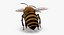 Bee and Bumblebee