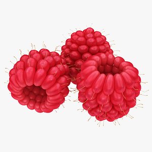 raspberry berry 3D