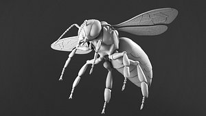 honey bee 3D model