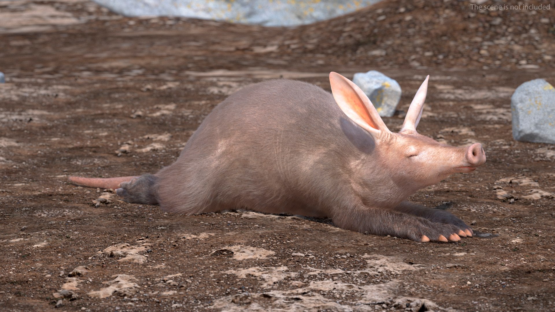 3D Rigged African Mammals Fur Collection 3 https://p.turbosquid.com/ts-thumb/Ik/GRuYFo/aT/rigged_african_mammals_fur_collection_3_010/jpg/1752058449/1920x1080/fit_q87/e5287a8cf409206055949077faadda903a8fe5f9/rigged_african_mammals_fur_collection_3_010.jpg