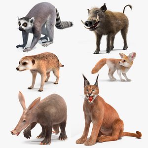 Rigged African Mammals Fur Collection 3