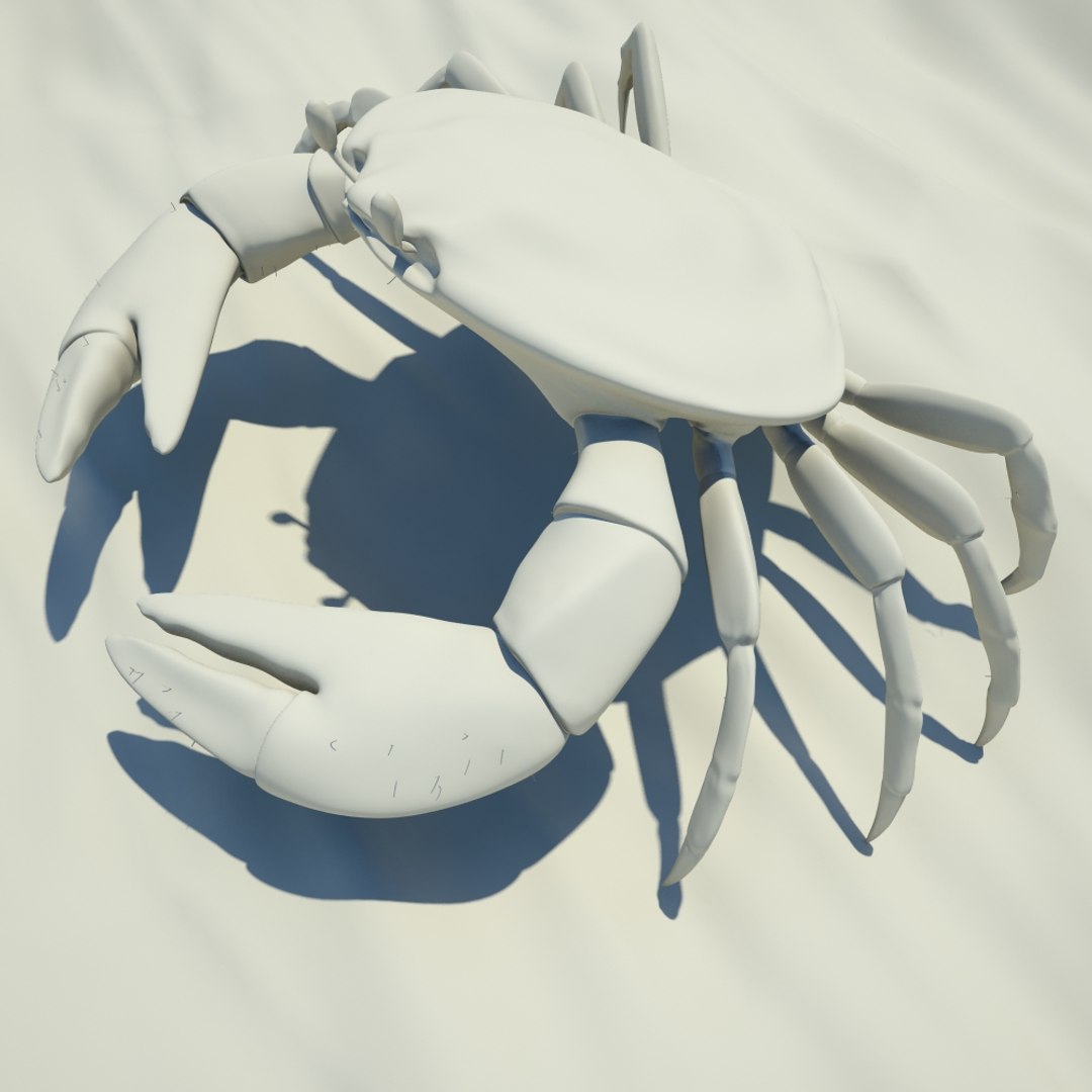 3d Model Small Crab Rigged