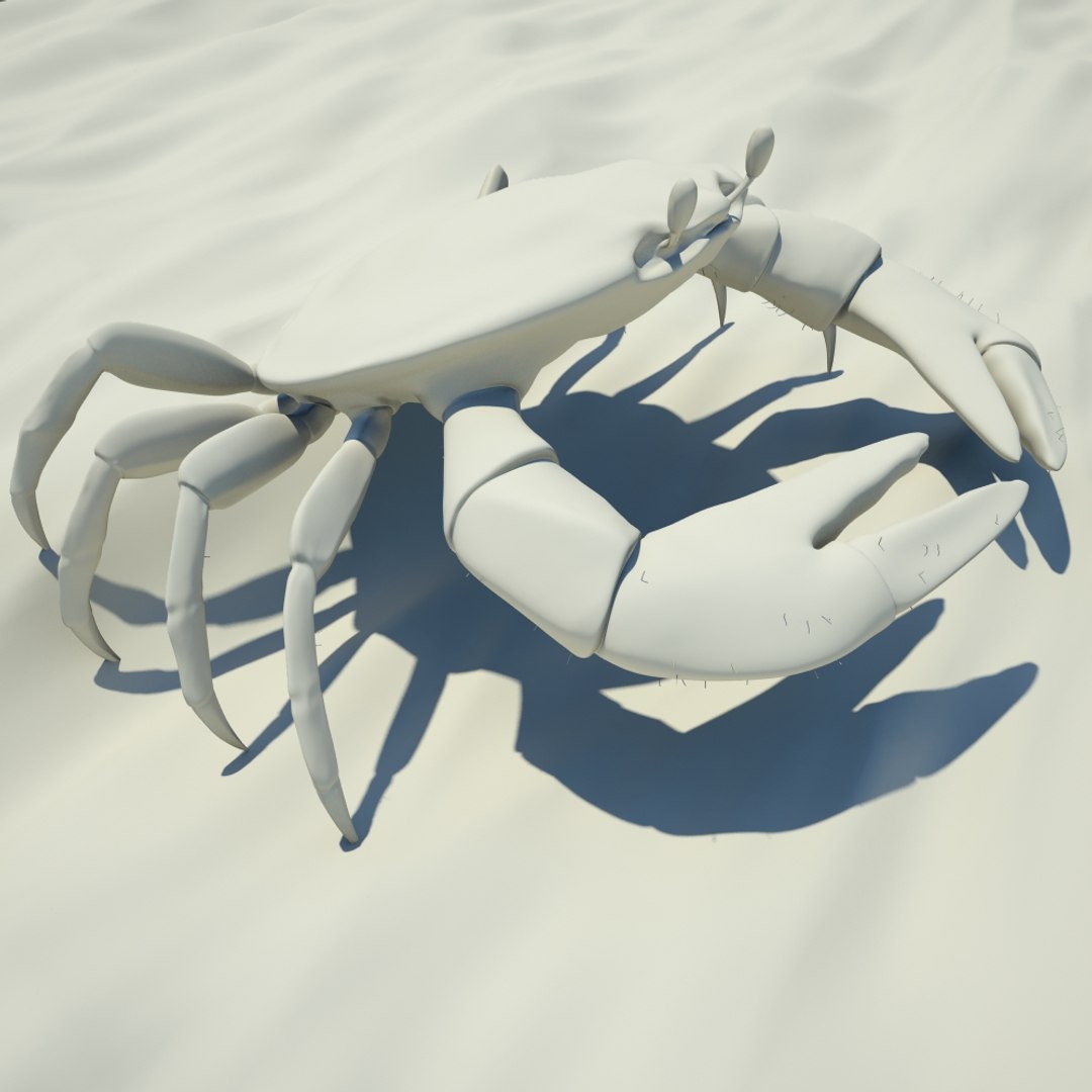 3d Model Small Crab Rigged