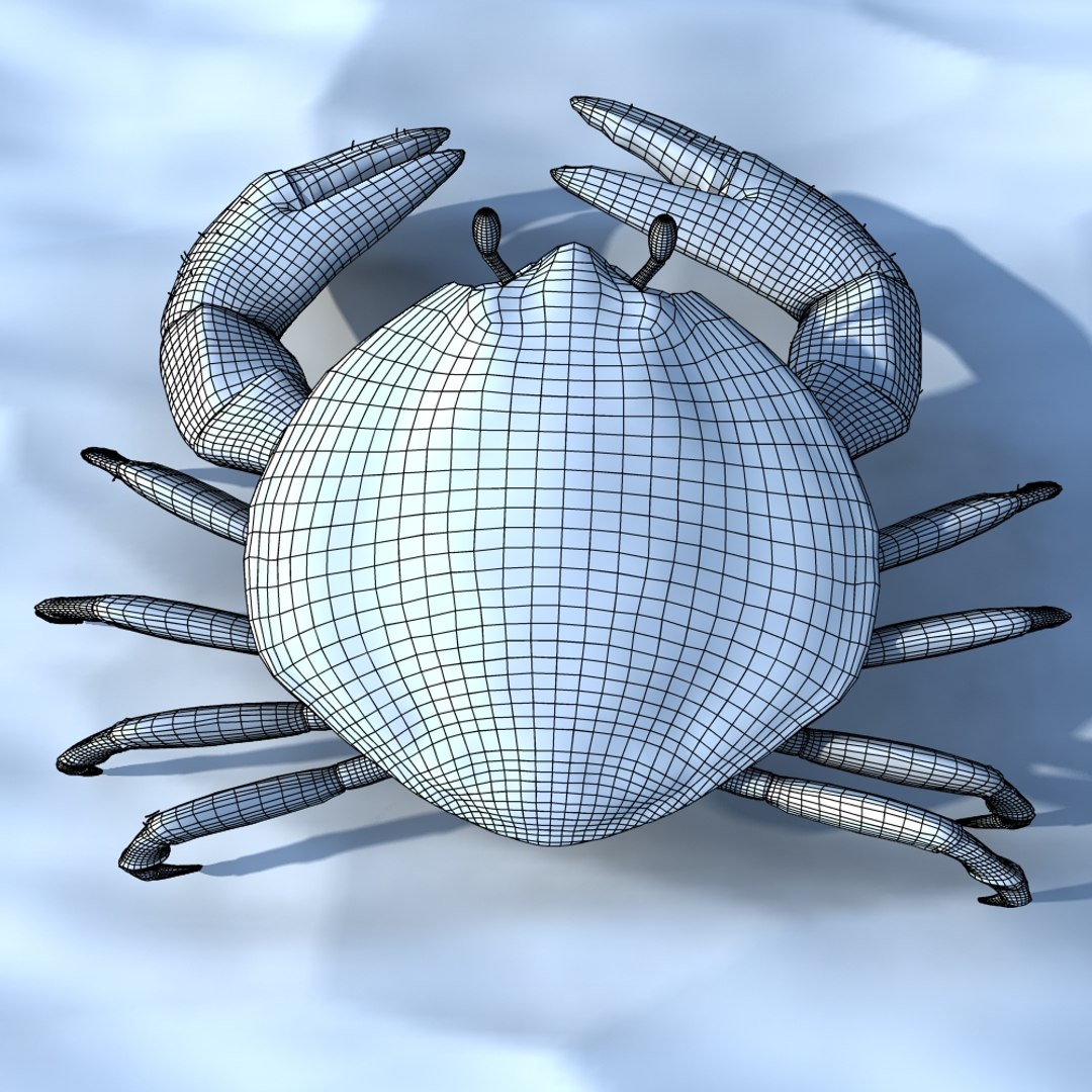 3d Model Small Crab Rigged