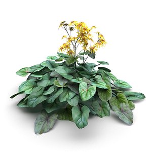 3D garden pond leopard plant