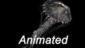 nettle jellyfish model