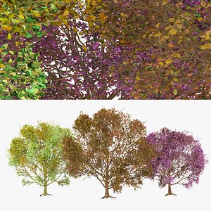 High-Quality 3D colorful Tree Models