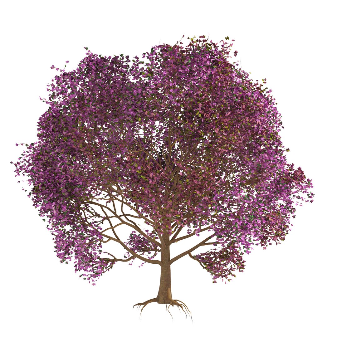 3D High-Quality 3D colorful Tree Models - TurboSquid 2121585