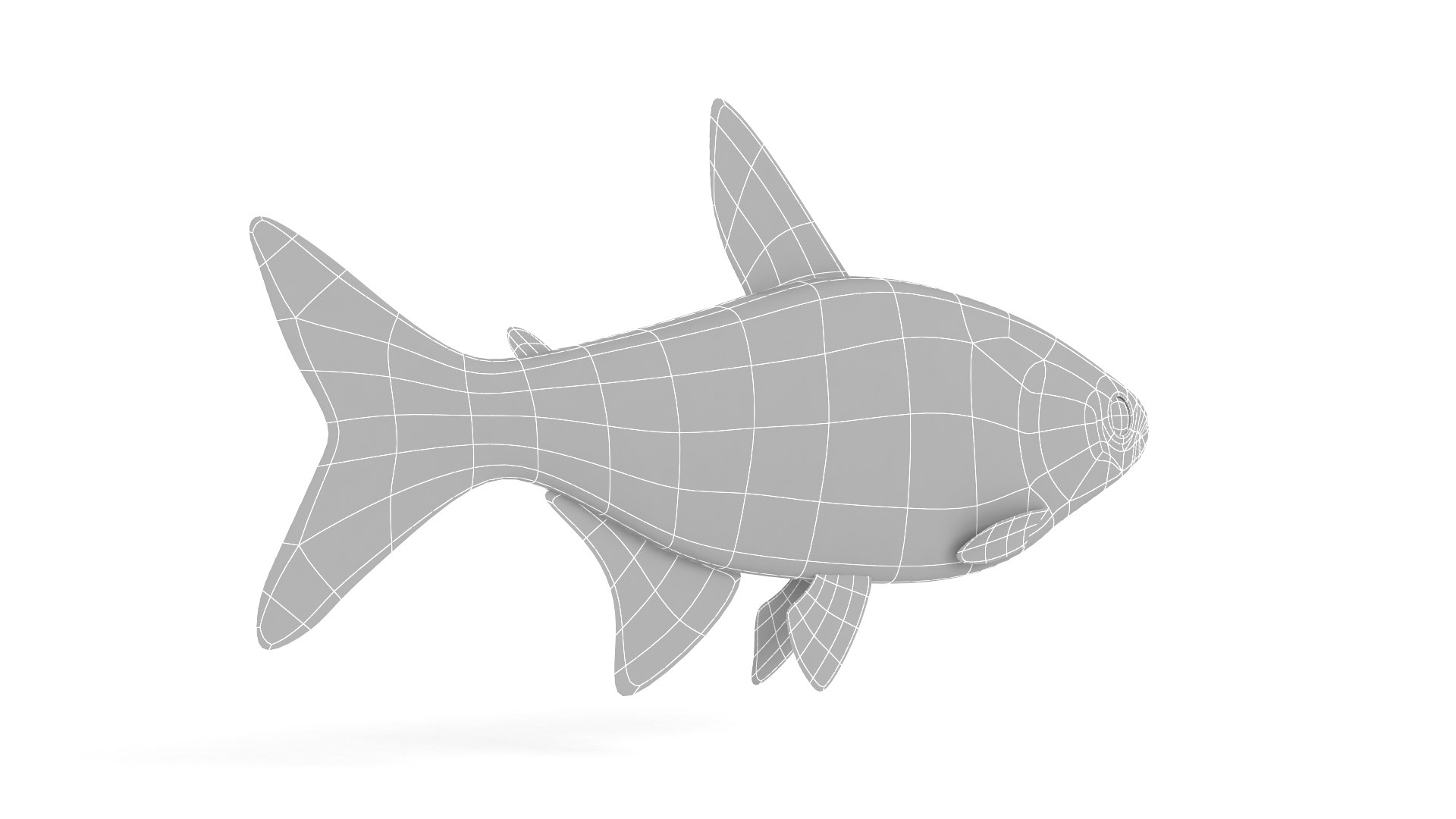 Neon Tetra Fish 3D Model - TurboSquid 2210591