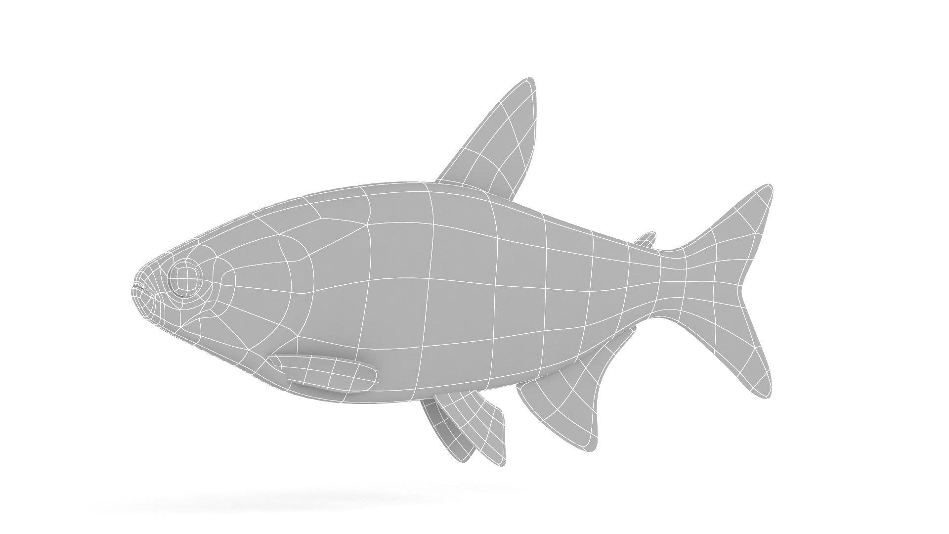 Neon Tetra Fish 3D Model - TurboSquid 2210591