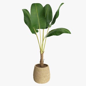 Baa artificial plant with plantpot 3D model