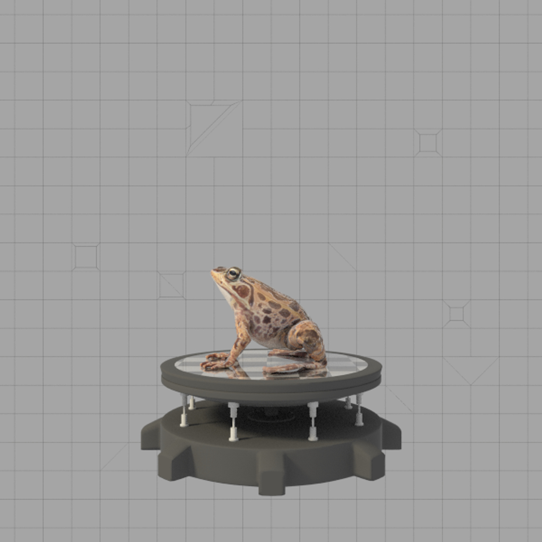 3d frog animation model https://p.turbosquid.com/ts-thumb/Il/5ZMqeN/Gr7Yna5v/goblin/png/1455326834/1920x1080/turn_fit_q99/e471892703d5cfcb63bb52f2b944ea1612765b8c/goblin-1.jpg