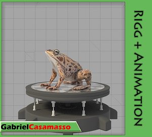 3d frog animation model