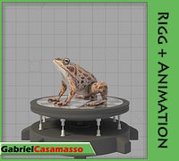 Frog