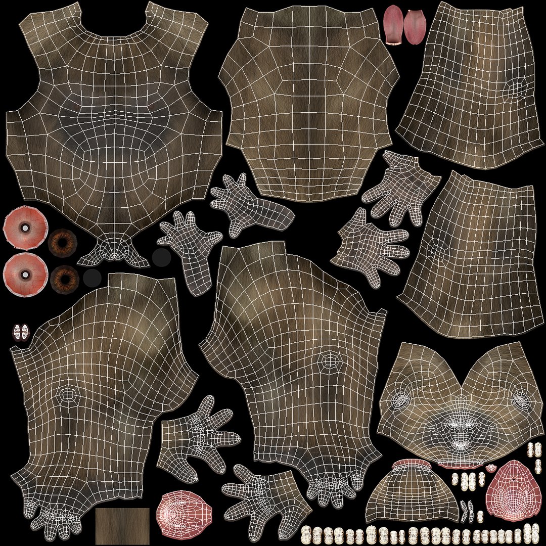 Gigantopithecus A-Pose Fur 3D model https://p.turbosquid.com/ts-thumb/Il/EYHWMQ/aO/gigantopithecus_apose_fur_016/jpg/1732096052/1920x1080/fit_q87/cc3232fc4b6e3e3a2b14bfc0c988cfc6ea68ffbb/gigantopithecus_apose_fur_016.jpg