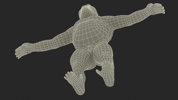 modelo 3d Gigantopithecus A-Pose Pelaje - TurboSquid 2311398