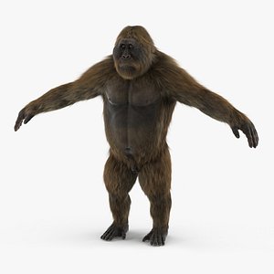 Gigantopithecus A-Pose Fur