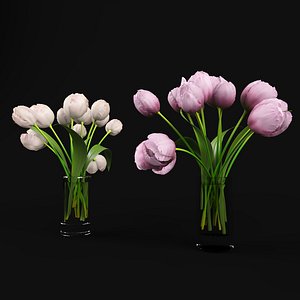 3ds max tulip