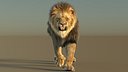 Animated Lion Fur