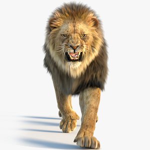 Animated Lion Fur
