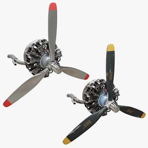 Preserved and Worn Vintage Radial Engines