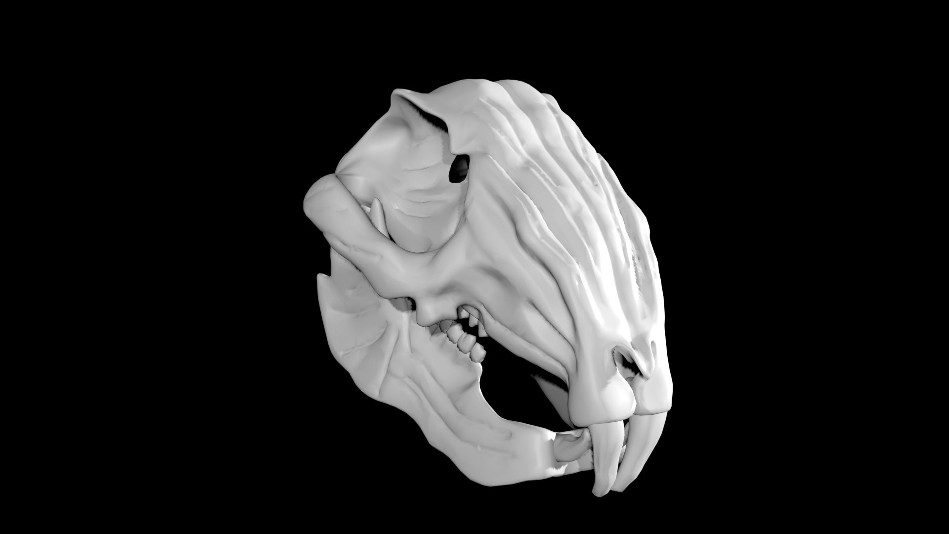 3D Rabbit Skull - TurboSquid 1885810