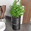 Kitchen Accessories 1