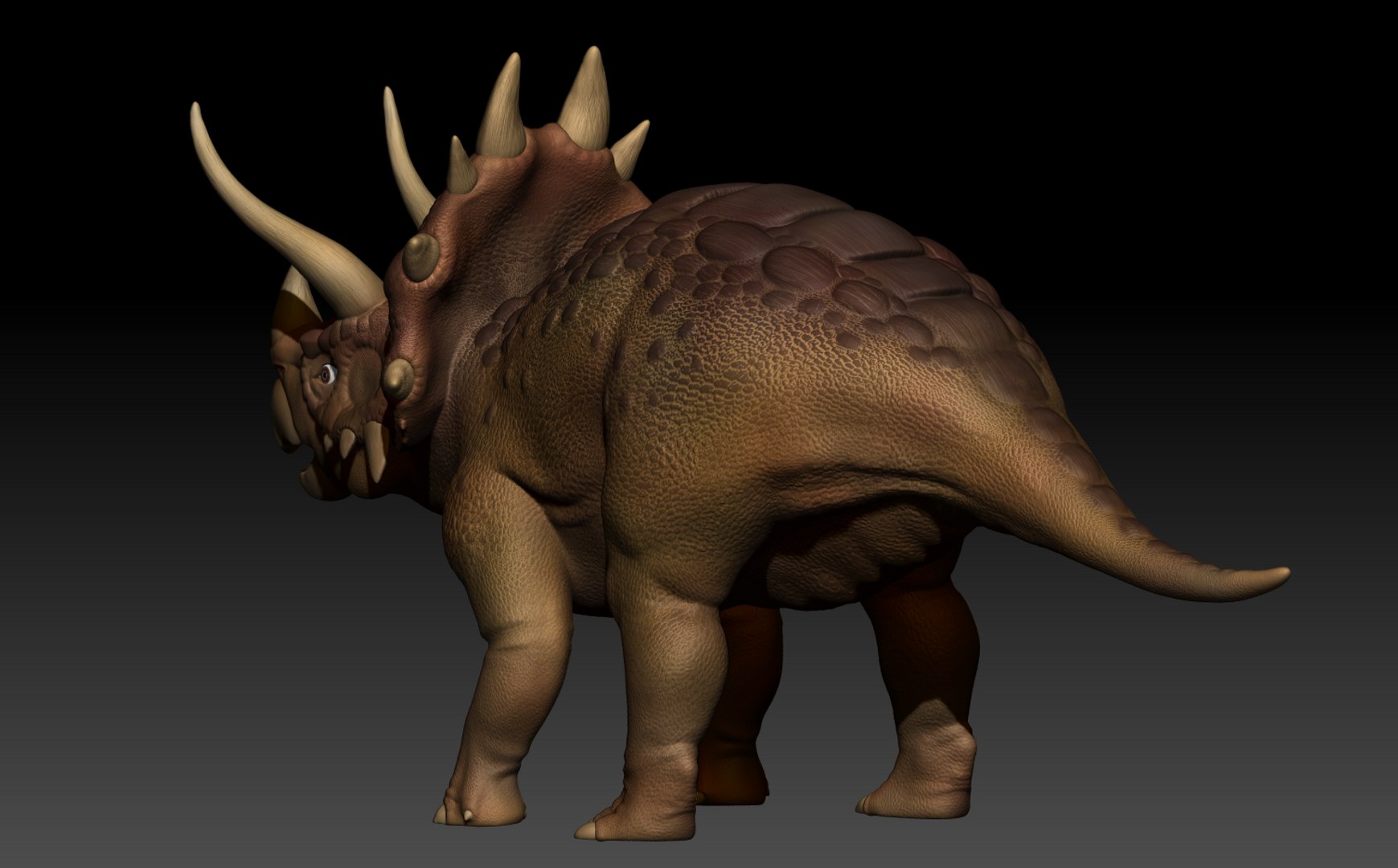 3d realistic triceratops