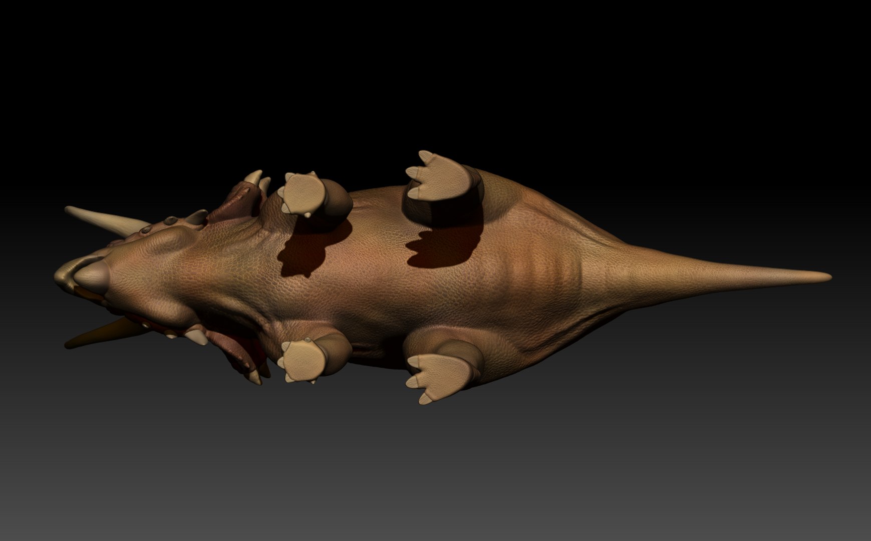 3d realistic triceratops